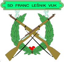 SD FLV logo
